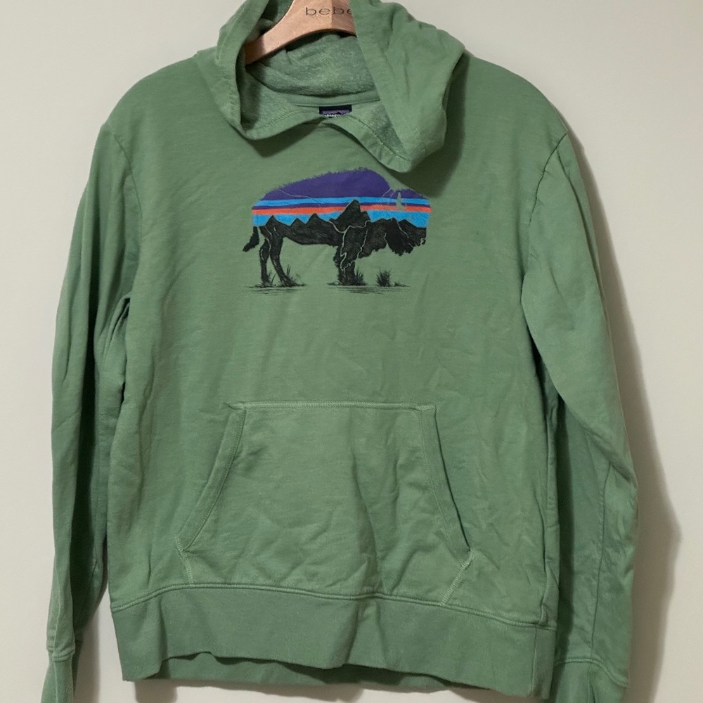 Patagonia sweatshirt